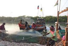 Climate Change Adaptation: Building Resilience for a Sustainable Future