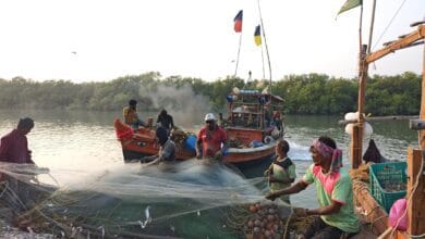 Climate Change Adaptation: Building Resilience for a Sustainable Future