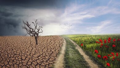 pxclimateaction, climate, landscape, storm, field, nature, dry so, climate change, darling, clouds